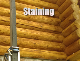  Cook County, Georgia Log Home Staining